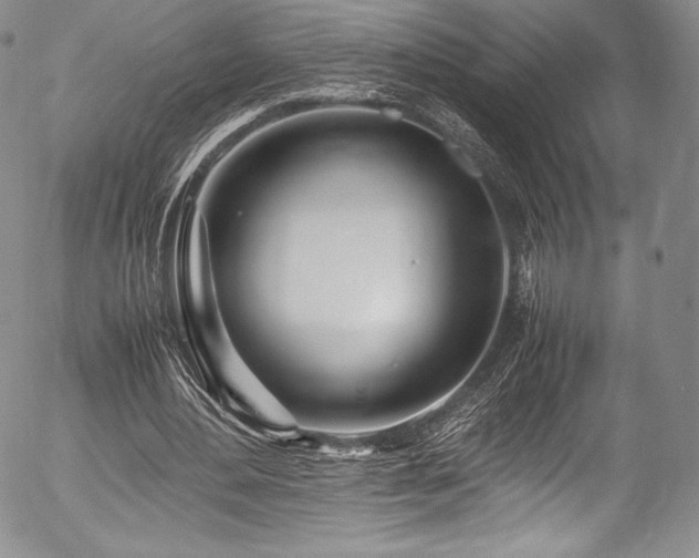 X0000054450484200508011433