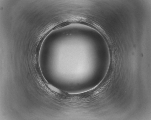 X0000054450485200508011433