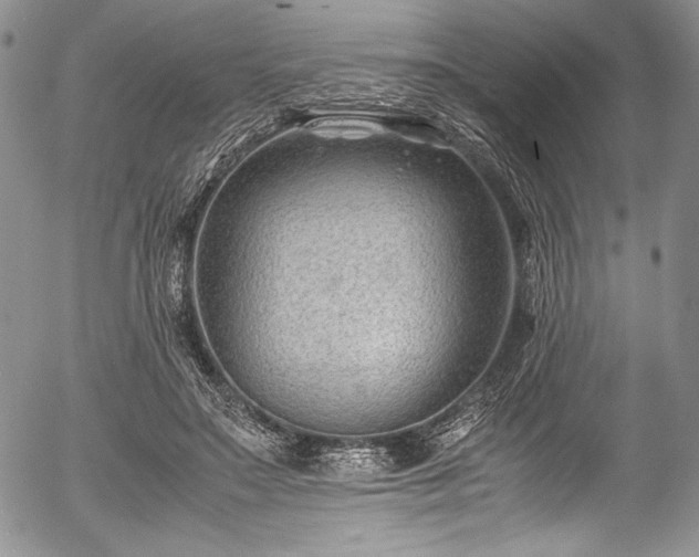 X0000054450499200508011433