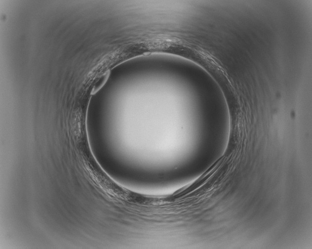 X0000054450501200508011433