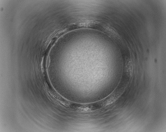 X0000054450502200508011433