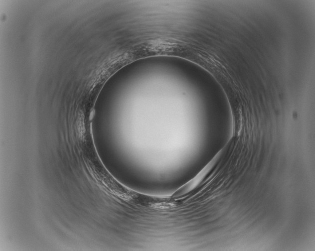 X0000054450508200508011433