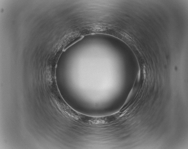X0000054450512200508011433