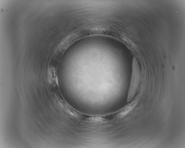 X0000054450528200508011432