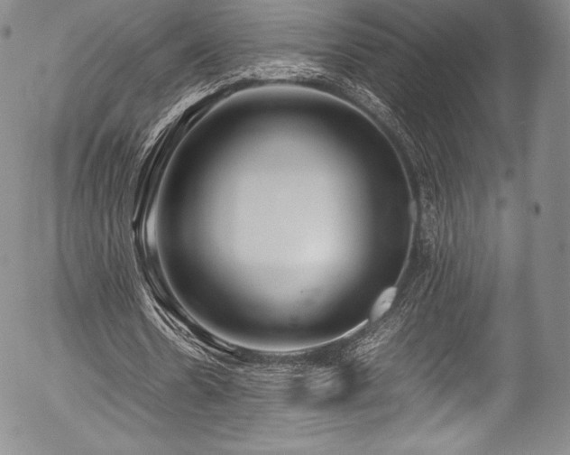 X0000054450530200508011432