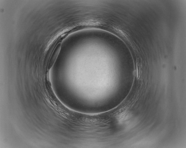 X0000054450531200508011432