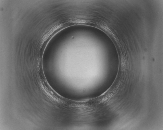 X0000054450533200508011432