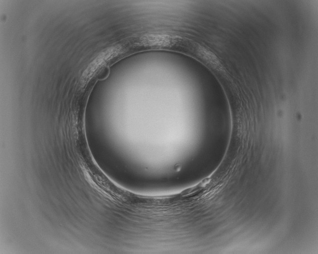 X0000054450538200508011432