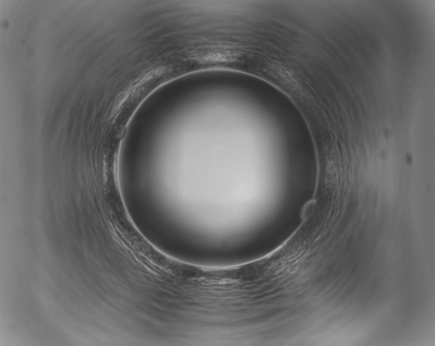 X0000054450539200508011432