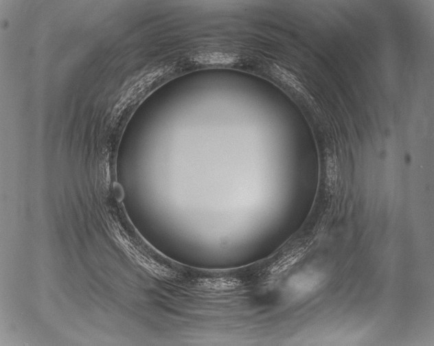 X0000054450541200508011432