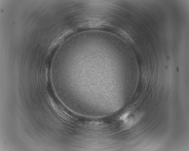 X0000054450542200508011432