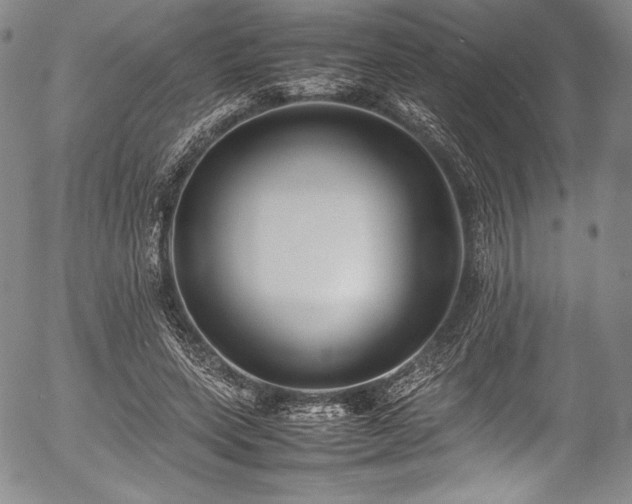 X0000054450543200508011432