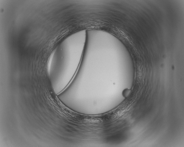X0000054450545200508011432
