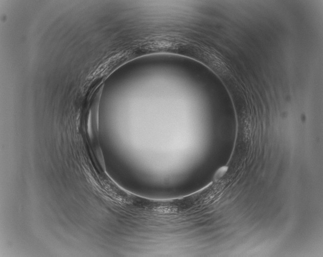X0000054450546200508011432