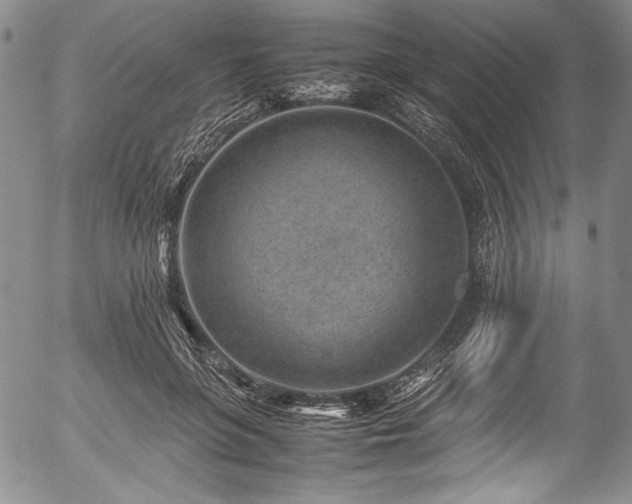 X0000054450551200508011432