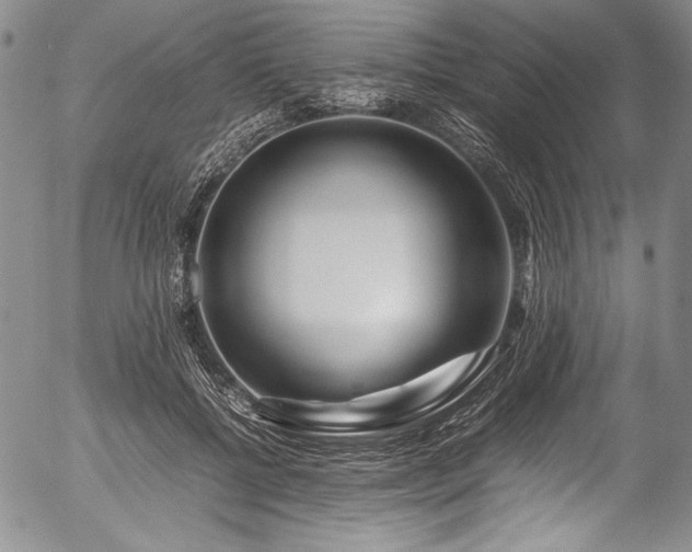 X0000054450552200508011432