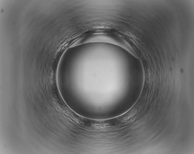 X0000054450556200508011432
