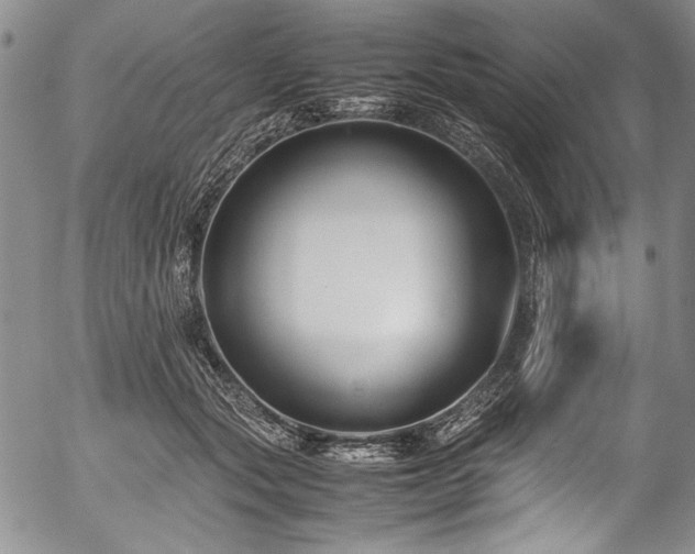 X0000054450557200508011432
