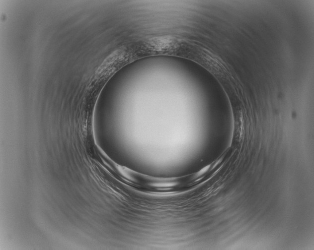 X0000054450558200508011432