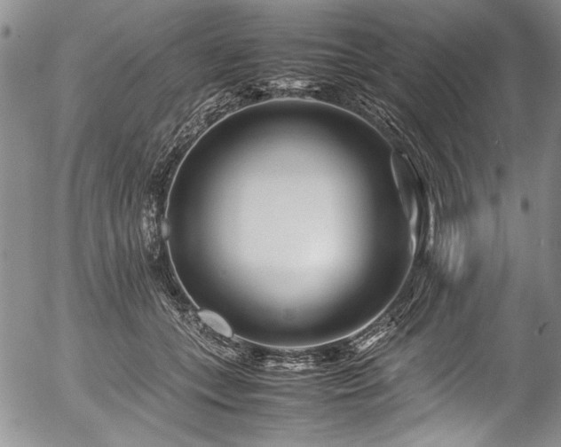 X0000054450559200508011432