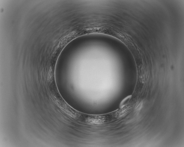 X0000054450563200508011432