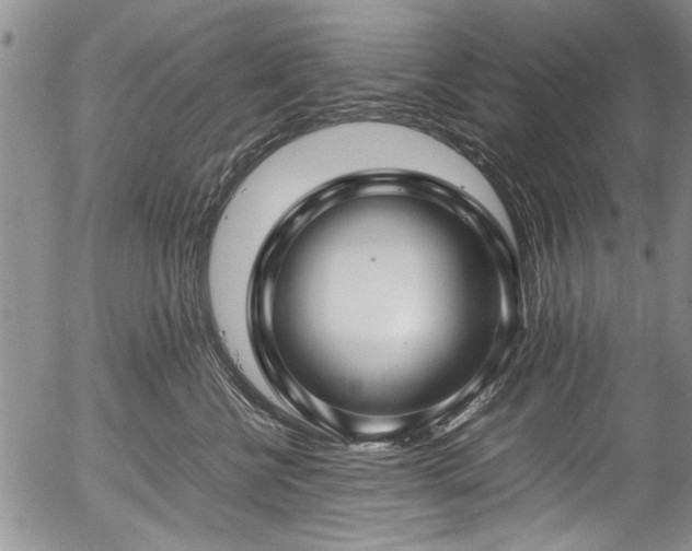 X0000054450570200508011432