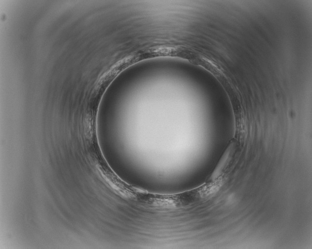 X0000054450572200508011432
