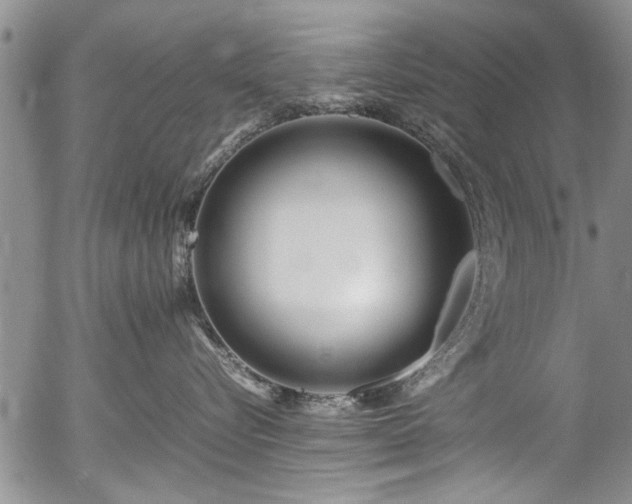 X0000054450576200508011432