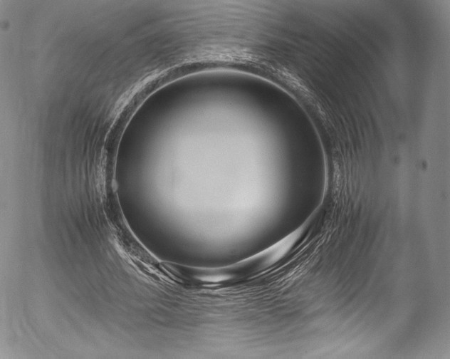 X0000054450580200508011431