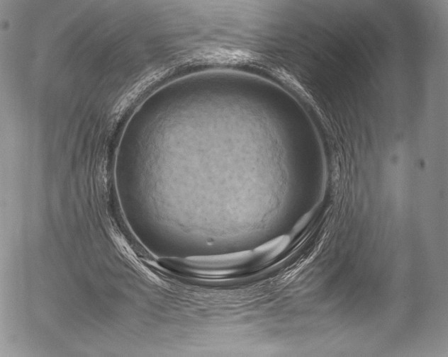 X0000054450581200508011431
