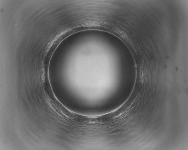 X0000054450584200508011431