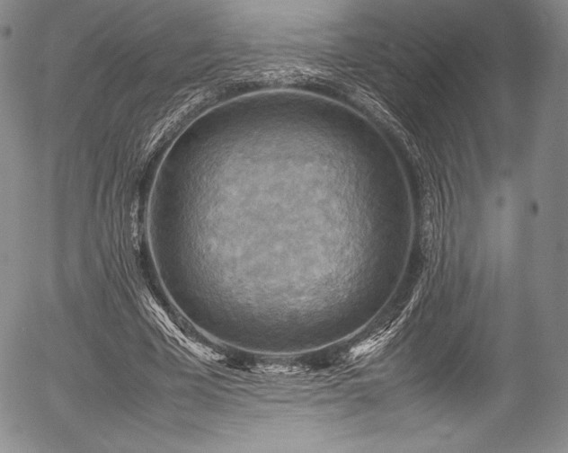 X0000054450585200508011431