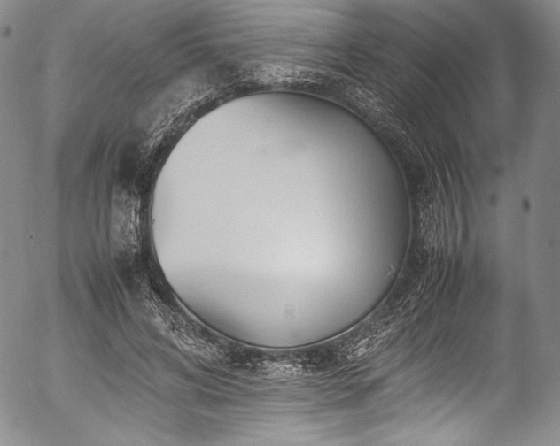 X0000054450592200508011431