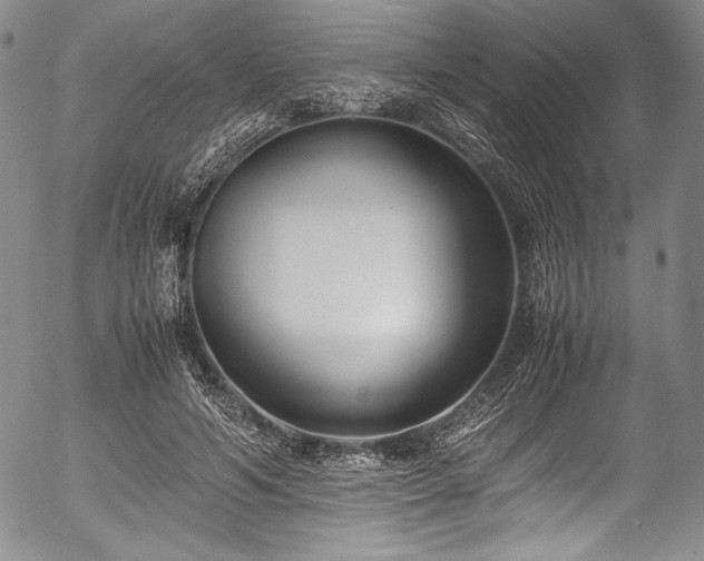 X0000054450594200508011431