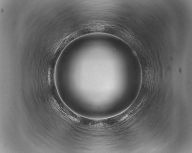X0000054450600200508011431