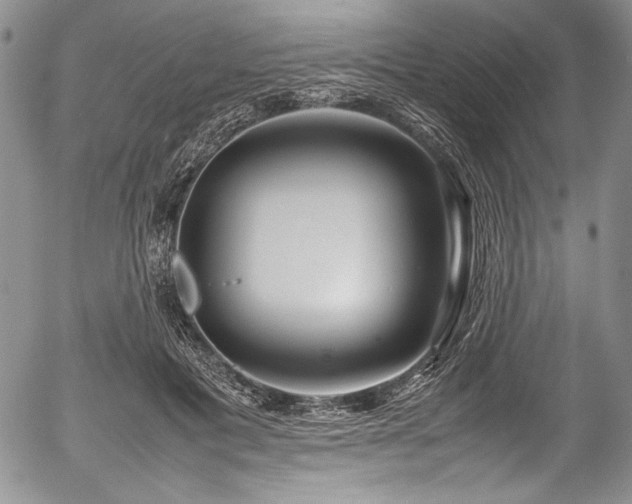 X0000054450601200508011431