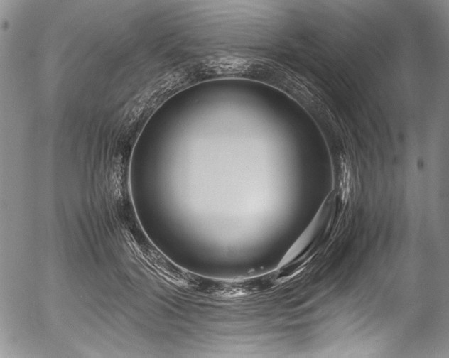 X0000054450604200508011431
