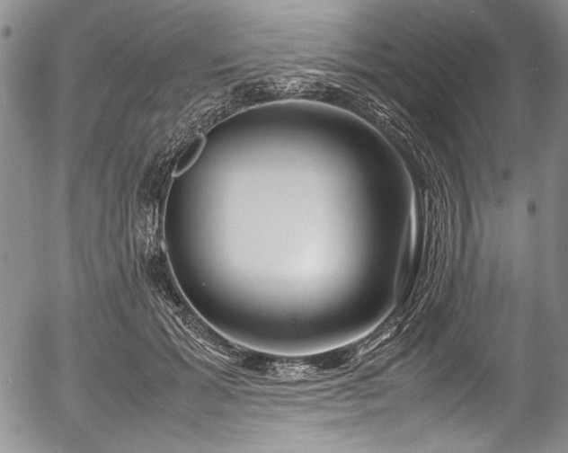 X0000054450605200508011431