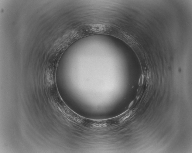 X0000054450606200508011431
