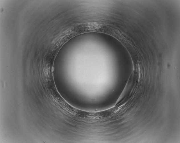 X0000054450608200508011431