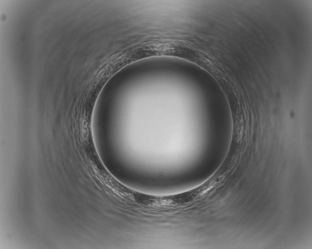 X0000054450609200508011431