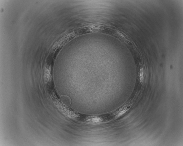 X0000054450610200508011431