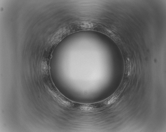X0000054450614200508011431