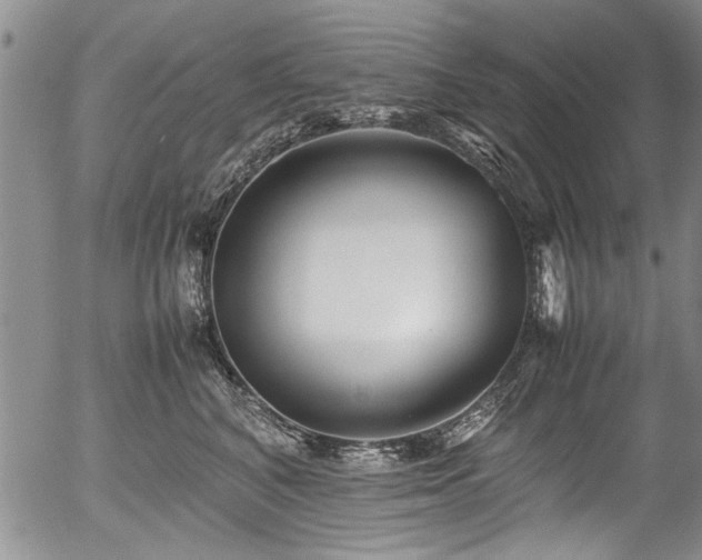 X0000054450616200508011431