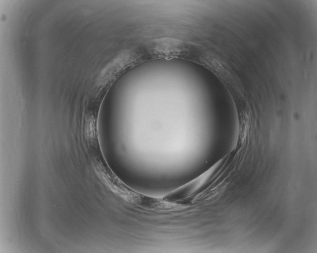 X0000054450623200508011431