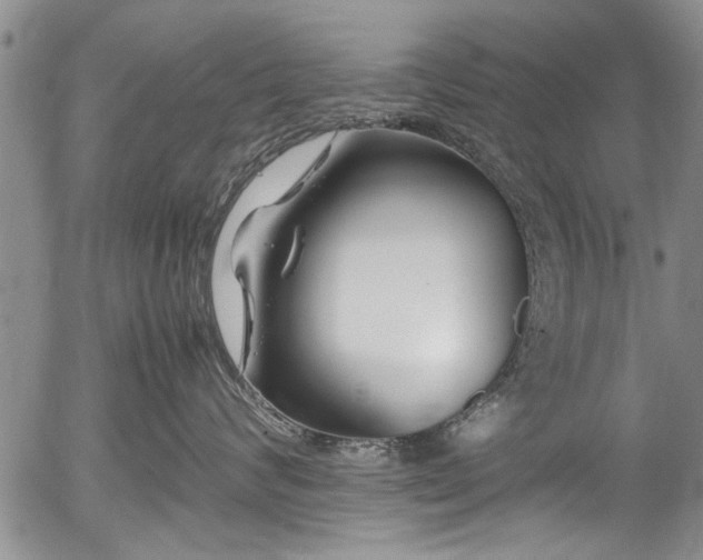 X0000054450624200508011431