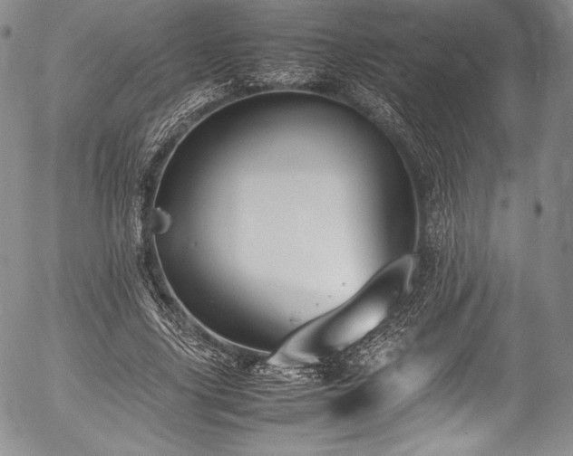 X0000054450635200508011430