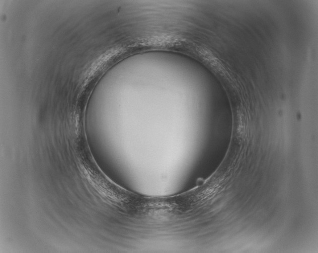 X0000054450636200508011430