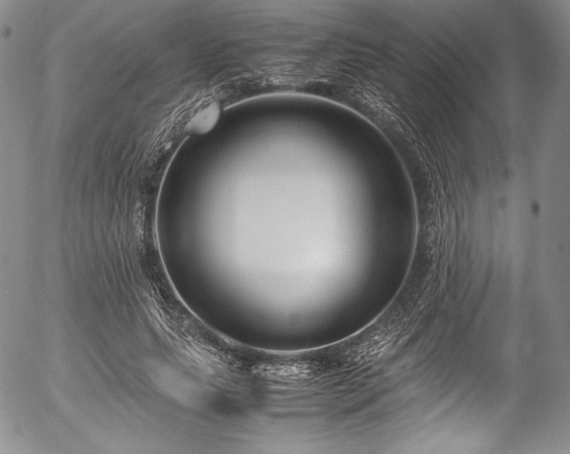 X0000054450639200508011430