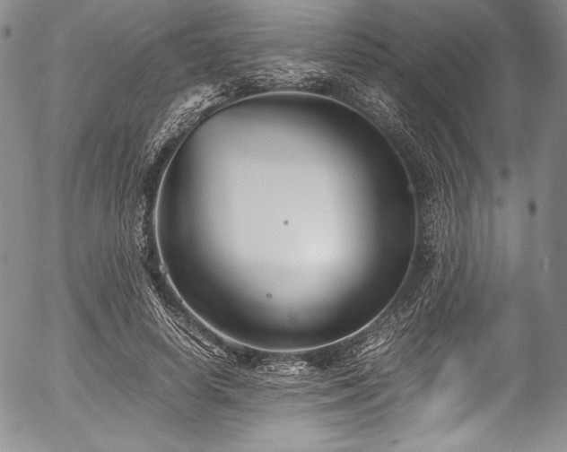 X0000054450642200508011430